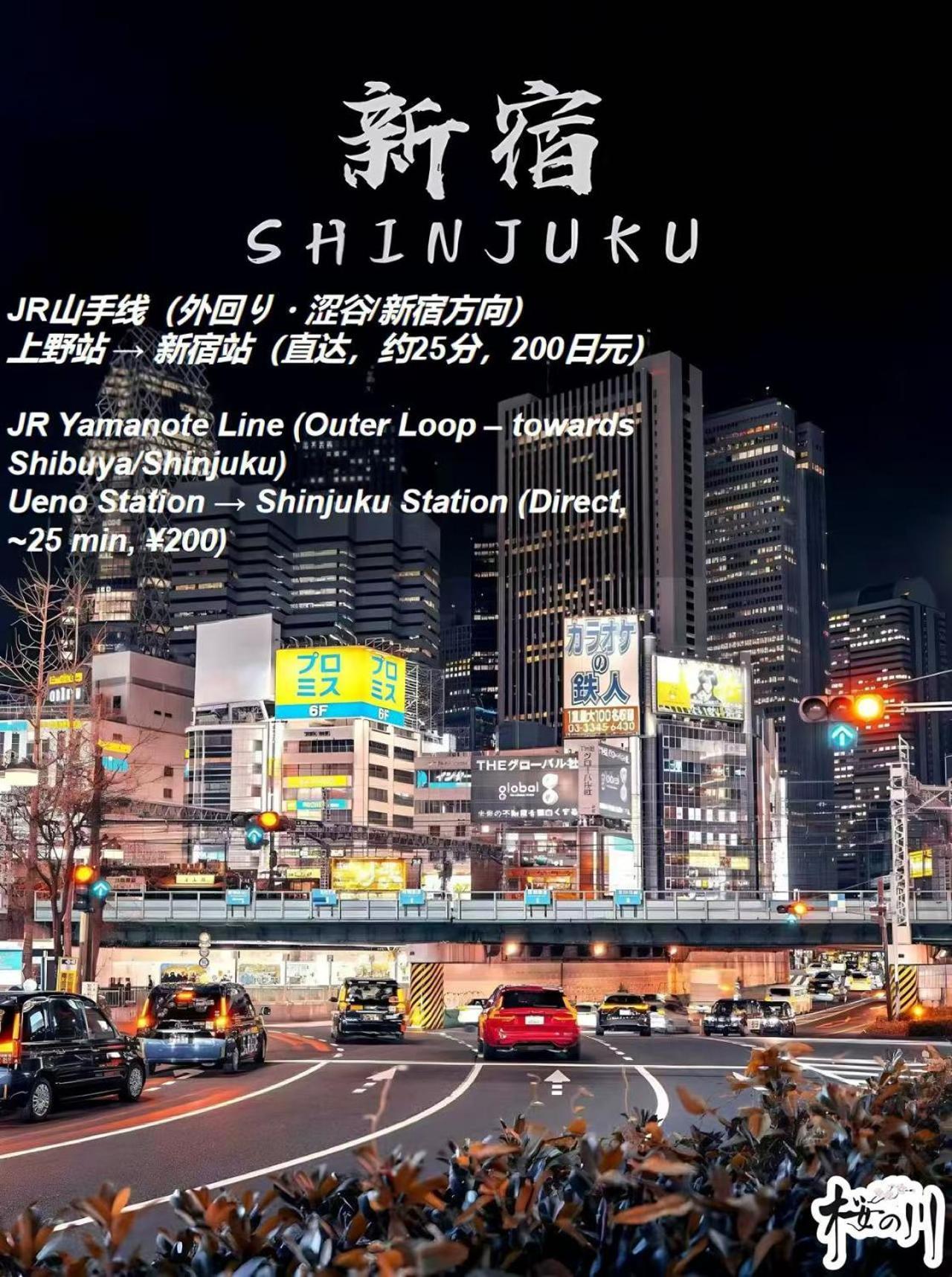 別墅 桜の川17 Ueno 5mins Ueno Zoo Three Storey Detached House Then 13 People