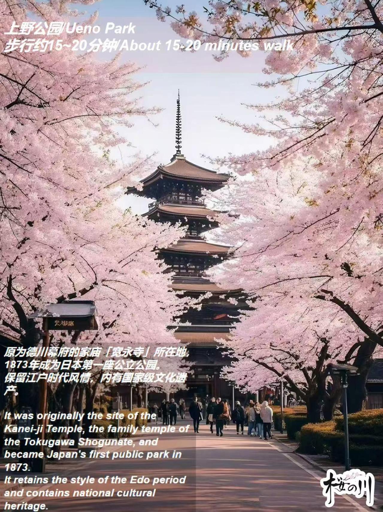 桜の川17 Ueno 5mins Ueno Zoo Three Storey Detached House Then 13 People 东京